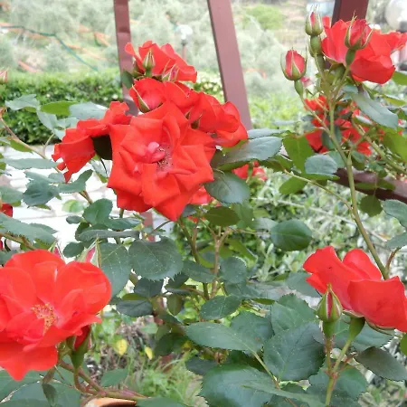 Vista Mare * Lavagna