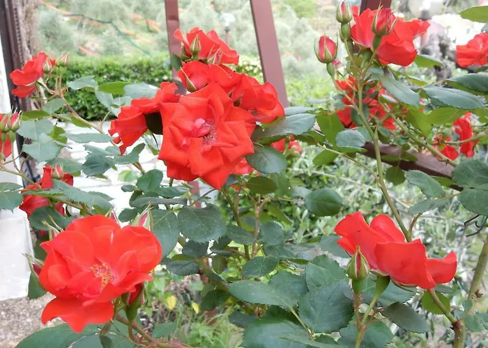 Vista Mare * Lavagna